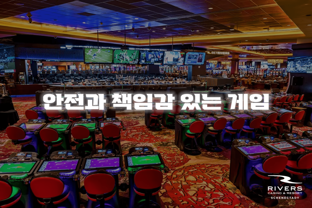 안전과 책임감 있는 게임