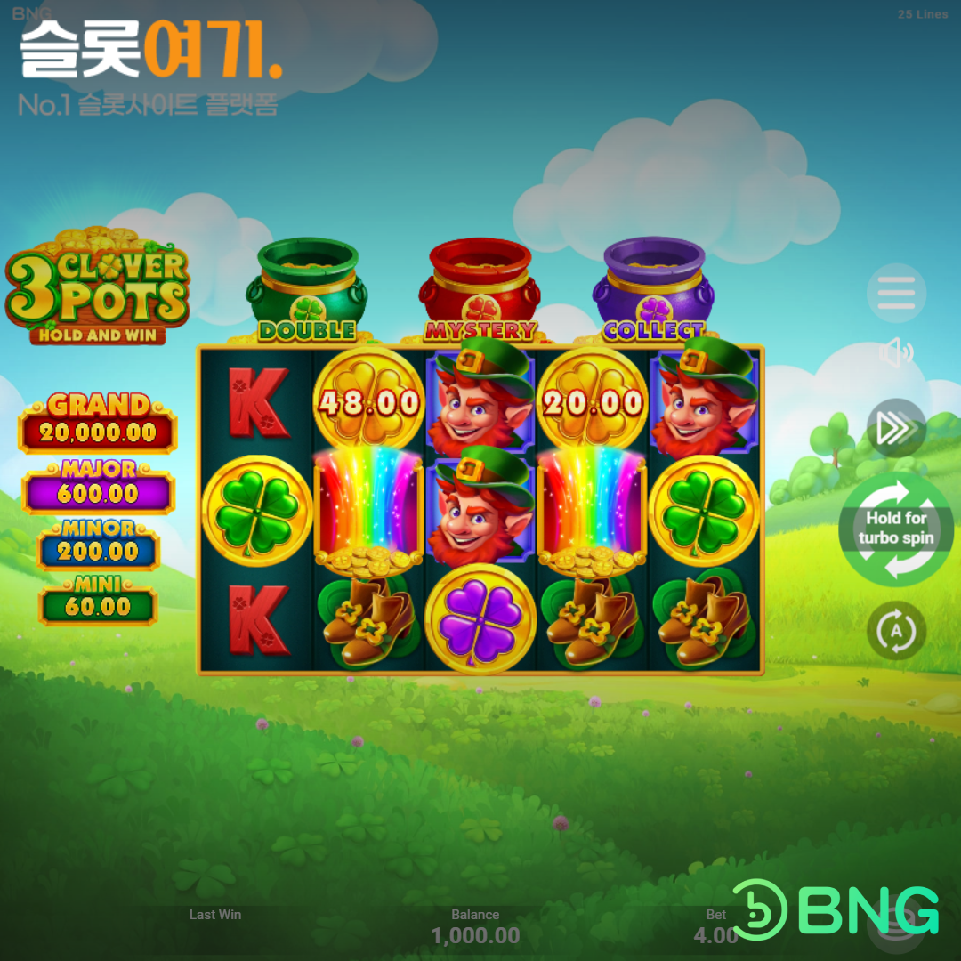 Buungo [3 Clover Pots]