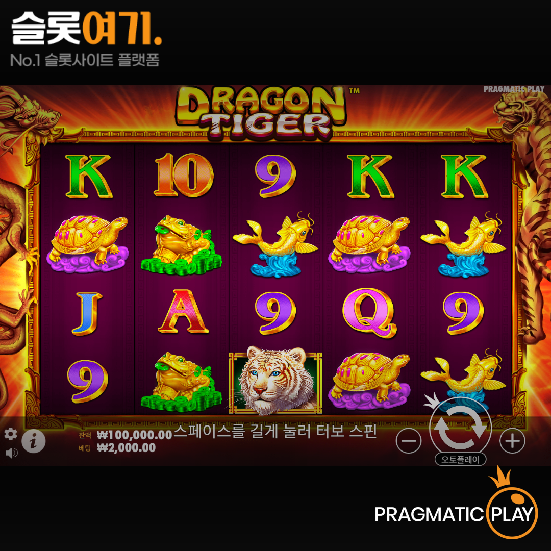 Pragmatic Play [Dragon Tiger]