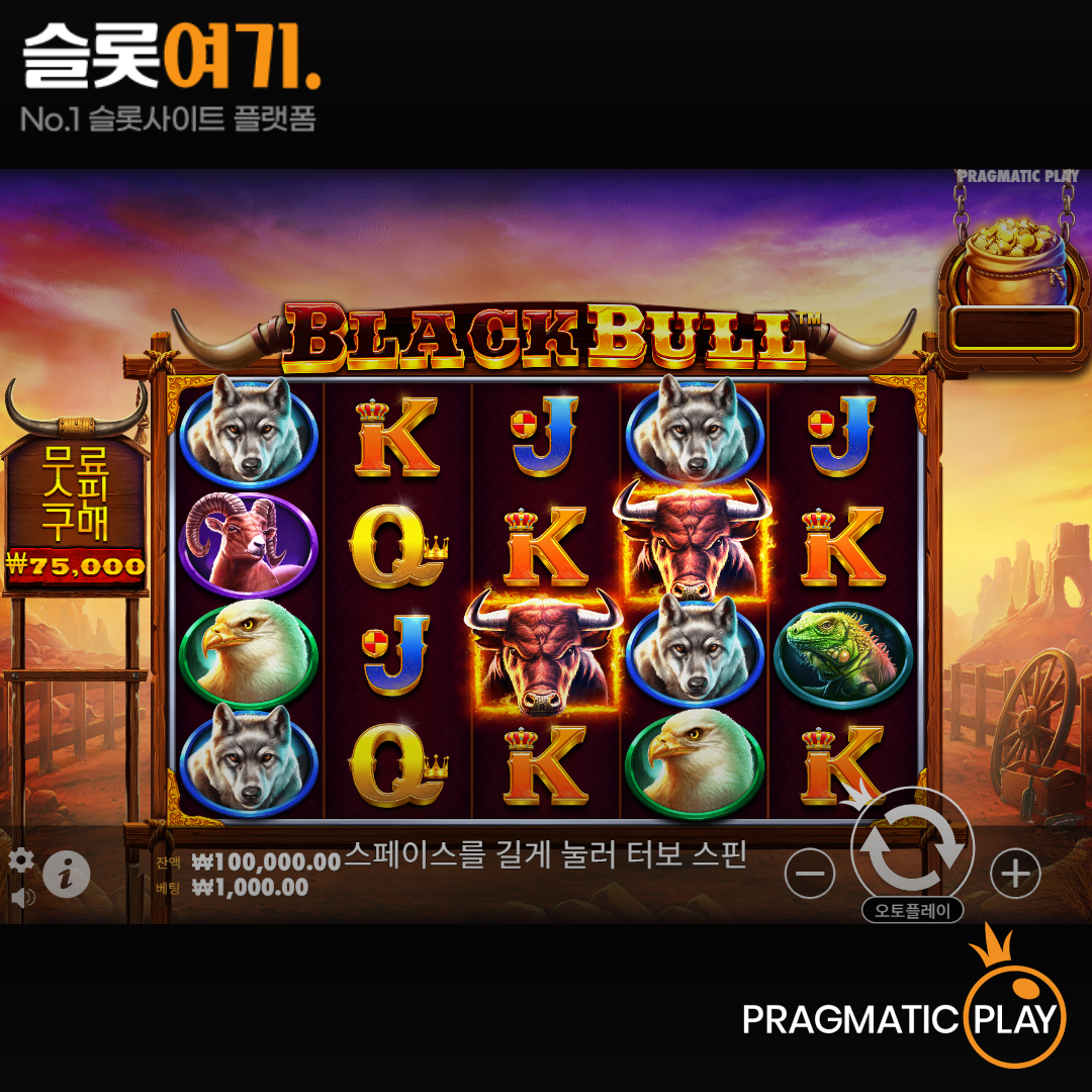 Pragmatic Play [Black Bull]