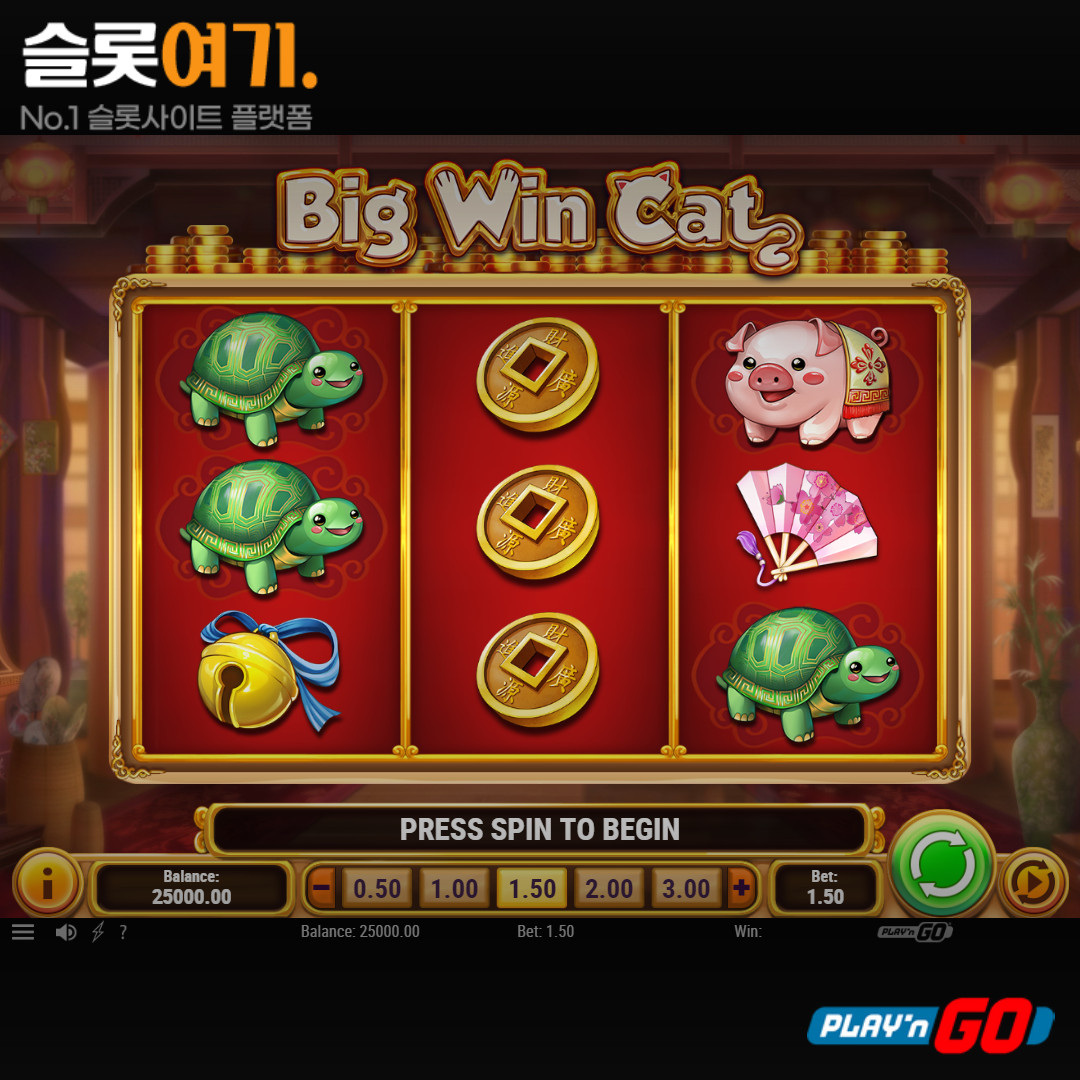 Play'n Go [Big Win Cat]