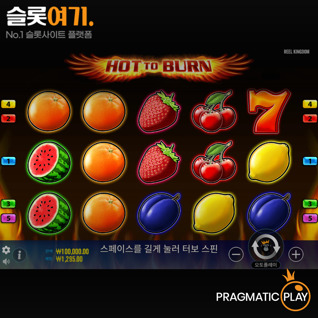 Read more about the article 핫투번(Hot to Burn) – 프라그마틱 플레이