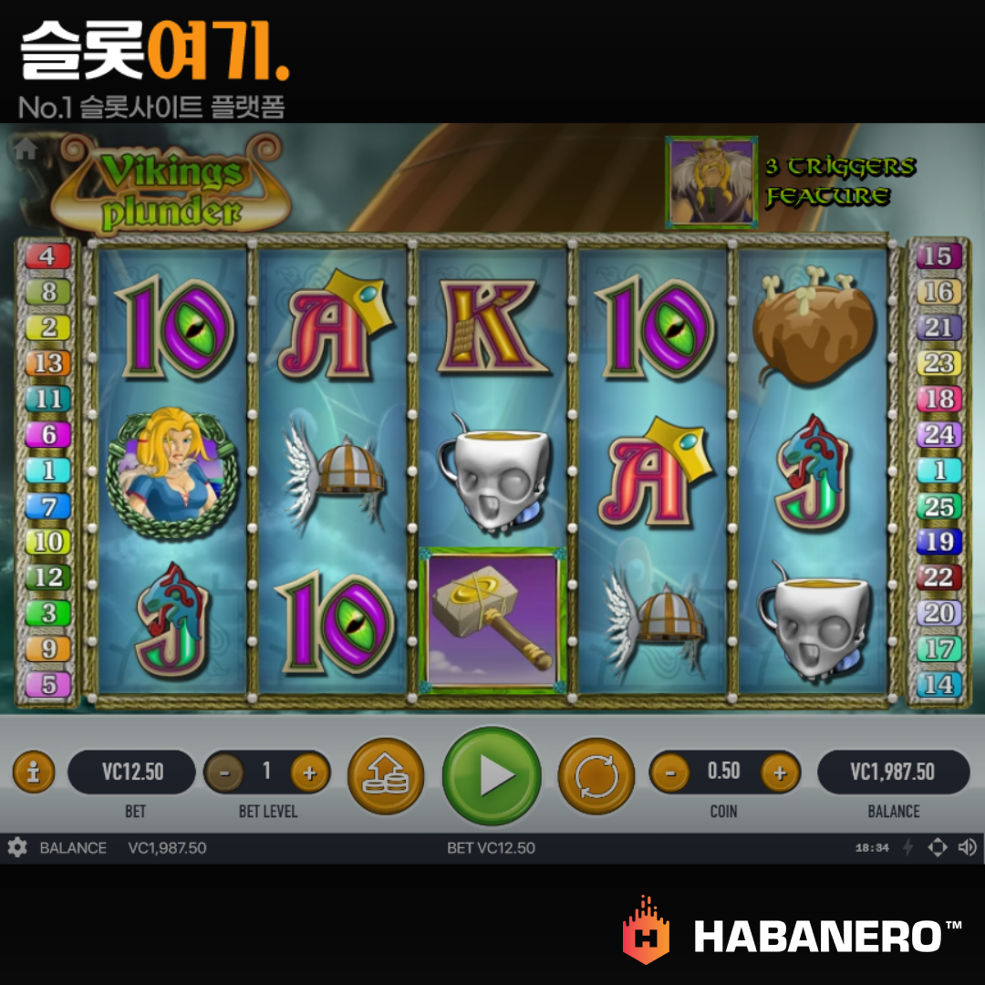 Read more about the article 바이킹 플런더(Viking’s Plunder) 슬롯 무료 체험