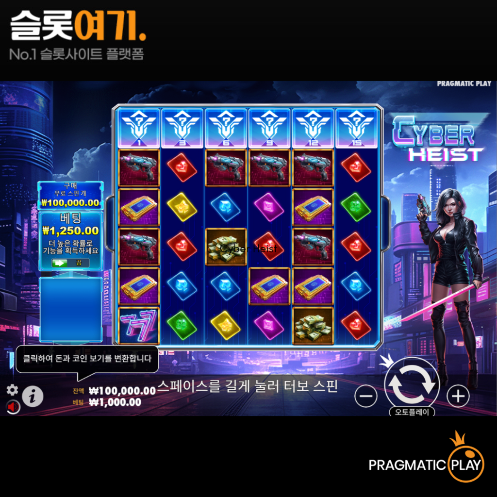 사이버 하이스트